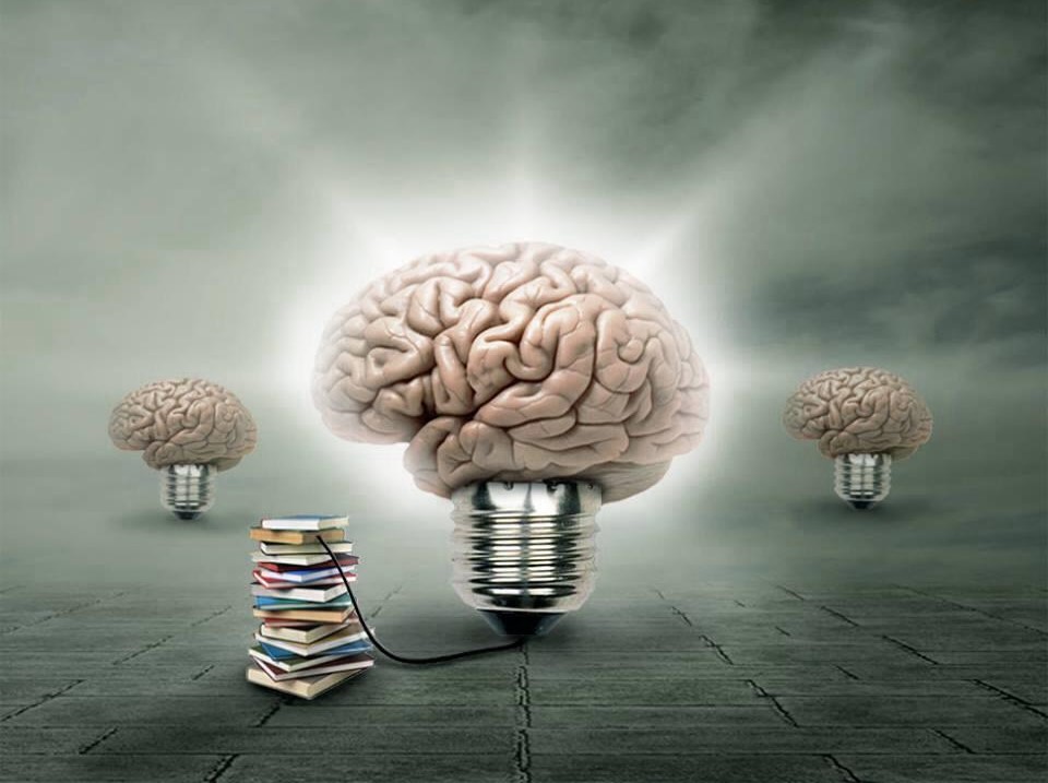okumak, okumak ve beyin, okumanın beyin üzerine etkisi, 