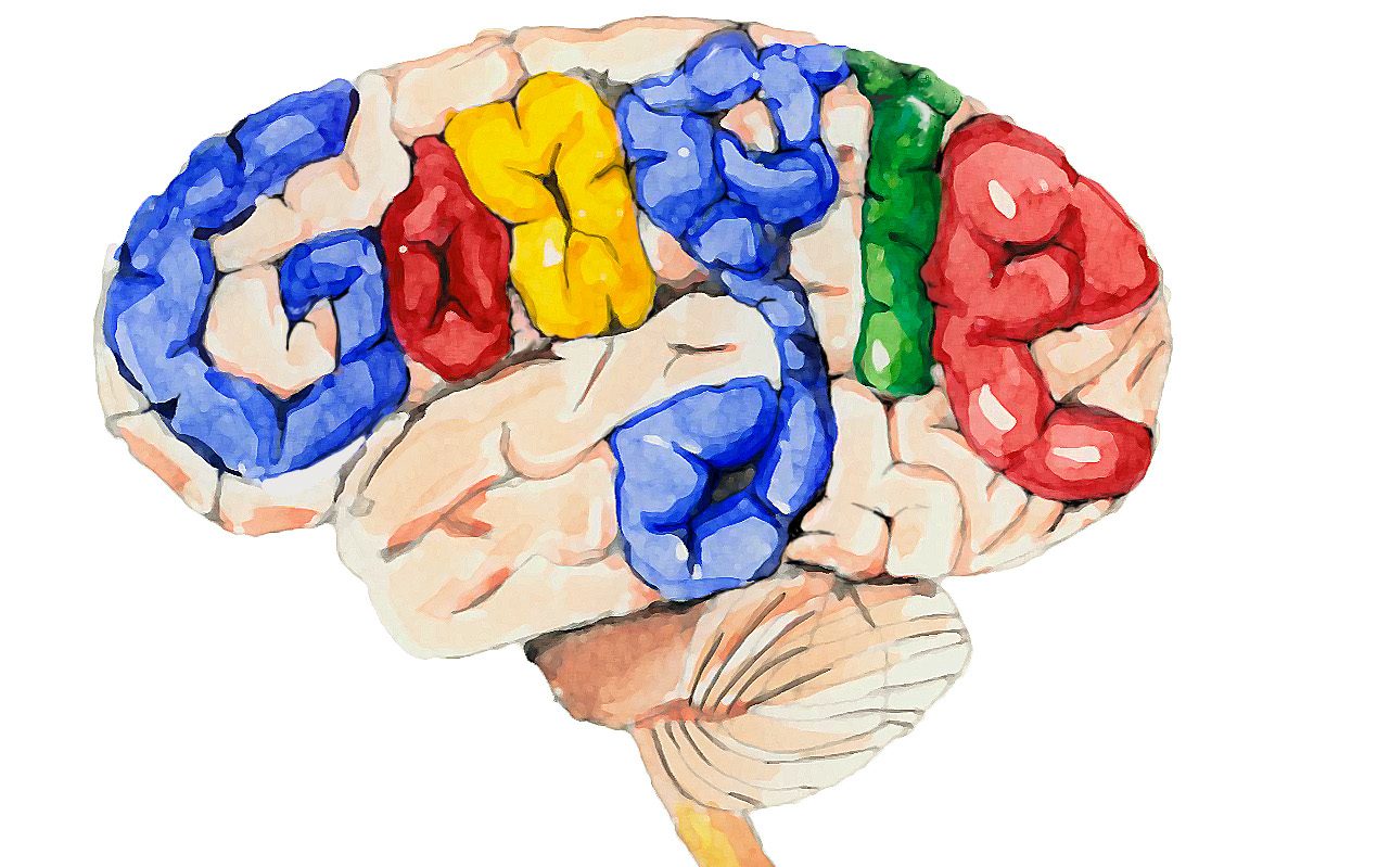 bilişsel yük boşaltma, google ve bellek, google ve beyin